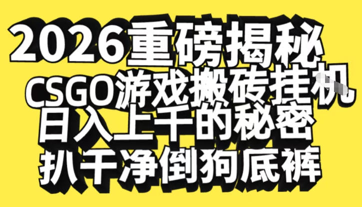 2026开年重磅解密，CSGO游戏搬砖挂G日入1k+的秘密，把倒狗的底裤扒干【揭秘】-易网赚