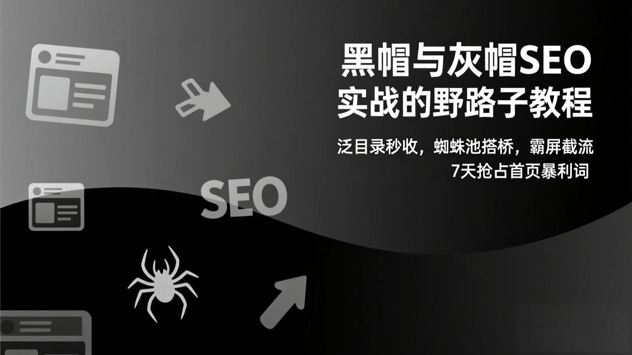 黑帽与灰帽SEO实战的野路子教程：泛目录秒收，蜘蛛池搭桥，霸屏截流，7天抢占首页暴利词-易网赚