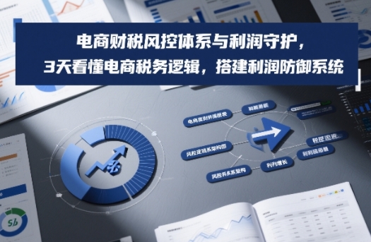 电商财税风控体系与利润守护，3天看懂电商税务逻辑，搭建利润防御系统-易网赚