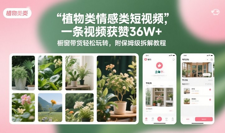 植物类情感类短视频，一条视频获赞36W+，橱窗带货轻松玩转，附保姆级拆解教程-易网赚