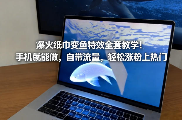 爆火纸巾变鱼特效全套教学！手机就能做，自带流量，轻松涨粉上热门-易网赚